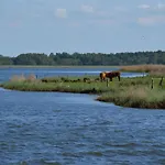 Fuer Vier Personen Im Erdgeschoss By Interhome * Schaprode
