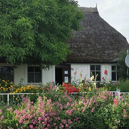 Fuer Vier Personen Im Erdgeschoss By Interhome Apartmán Schaprode